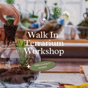 How In Store Terrariums Work
