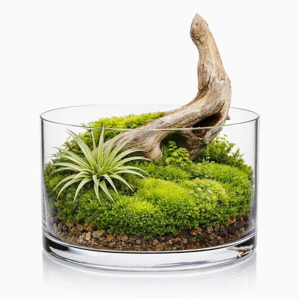 Closed Moss Garden