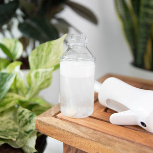Instant Plant Food - Simply the Best Houseplant Mister Spray Bottle