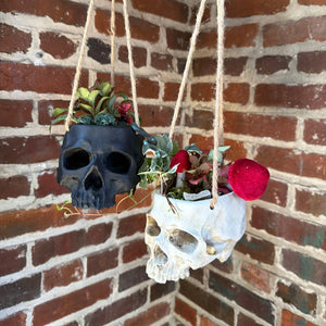Halloween Plant & Sip: Skull Planter Workshop | Makers Craft Brewery, Norfolk VA