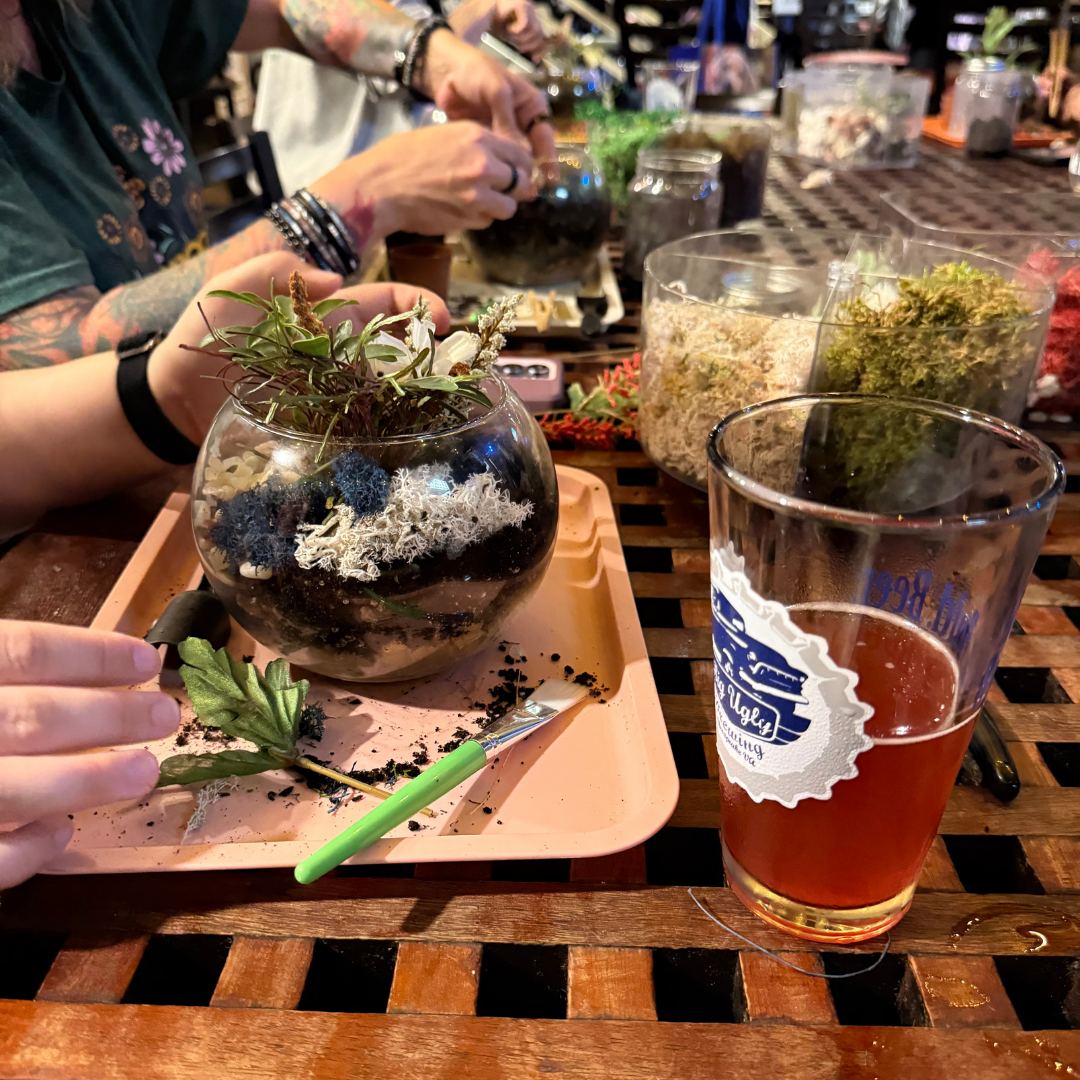 Plant & Sip at Big Ugly Brewing 11.4