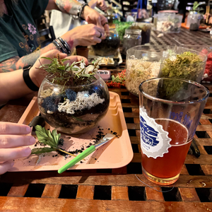 Plant & Sip at Big Ugly Brewing 11.4