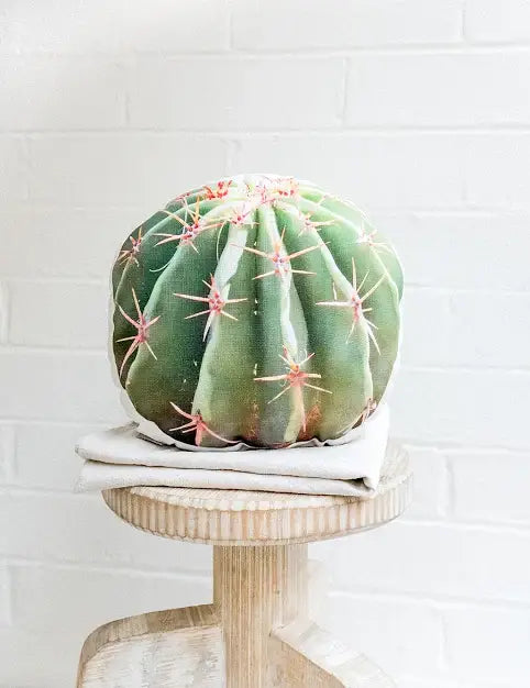 AURE - Barrel Cactus Linen Throw Pillow