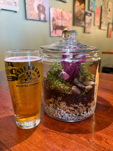 Plant & Sip - Wasserhund Brewing 6.26