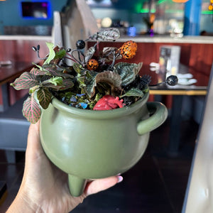 Spooky Cauldron Workshop: Tropical Plants | Las Margaritas, Latham NY