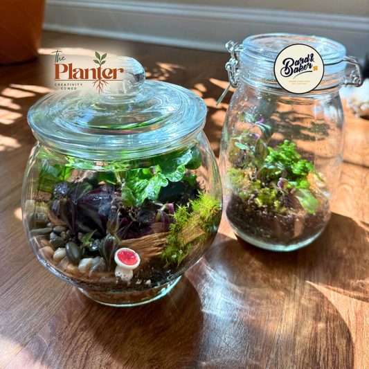 Mini Ecosystems at Bard & Baker | June 7th