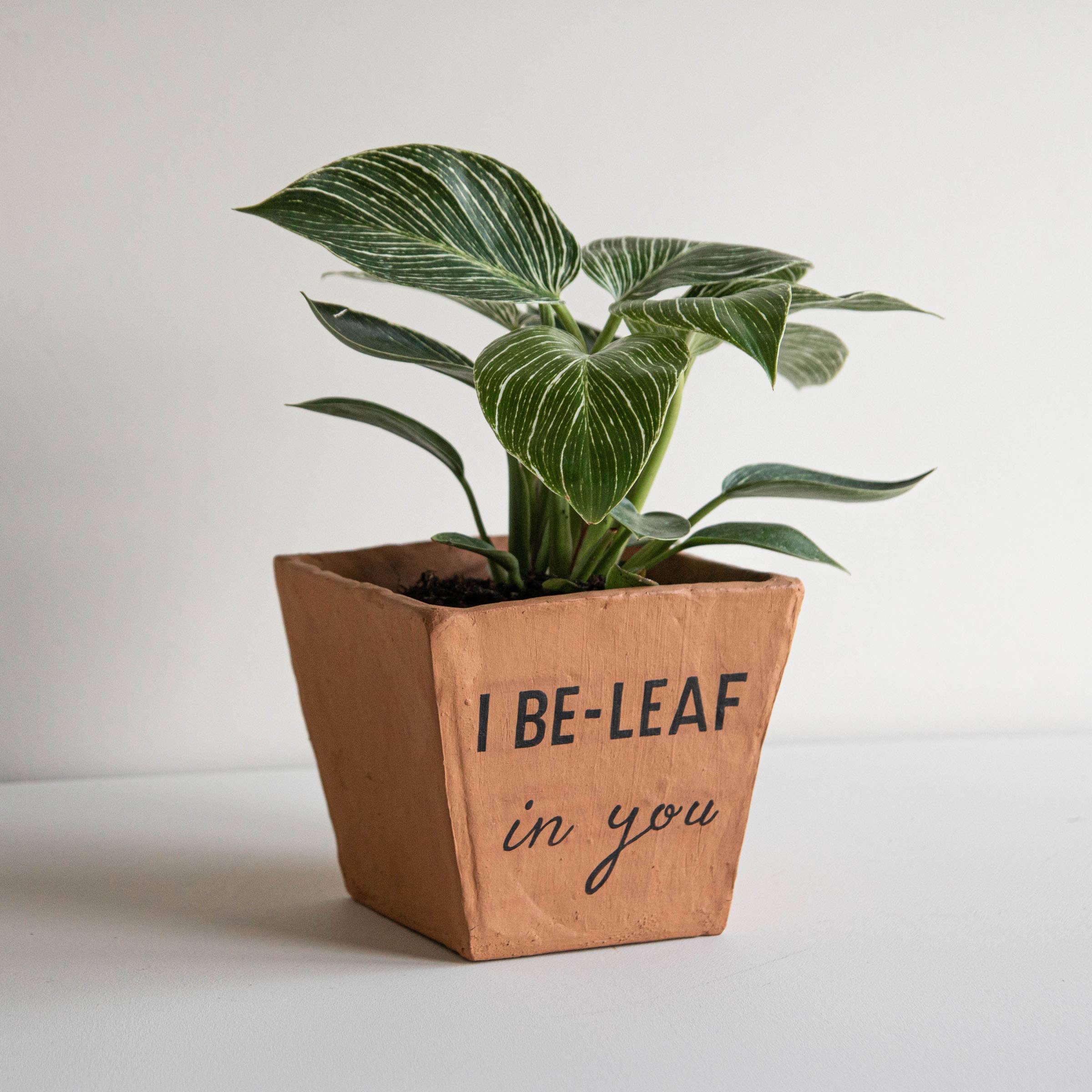 Foreside Home & Garden - I Be-Leaf in You Terracotta Planter