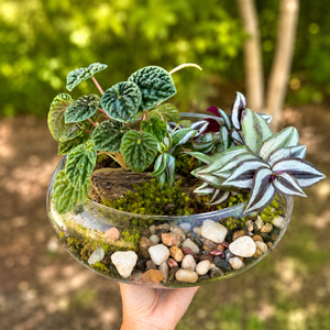 Plant & Sip Workshop — Open Moss Garden Terrarium at Wolf Hollow Brewing | Aug. 5