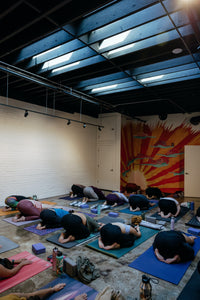Yoga & Plants 10.16