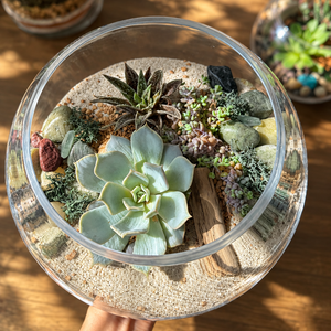 Fall Plant & Sip: Succulent Terrarium Workshop | The Venue at Skyline, Lanesborough MA