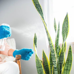 Instant Plant Food - Simply the Best Micro-Fiber Gloves For Cleaning Houseplants