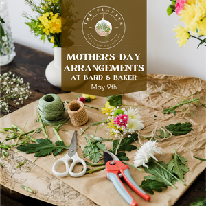 Mother's Day Arrangements - Bard & Baker