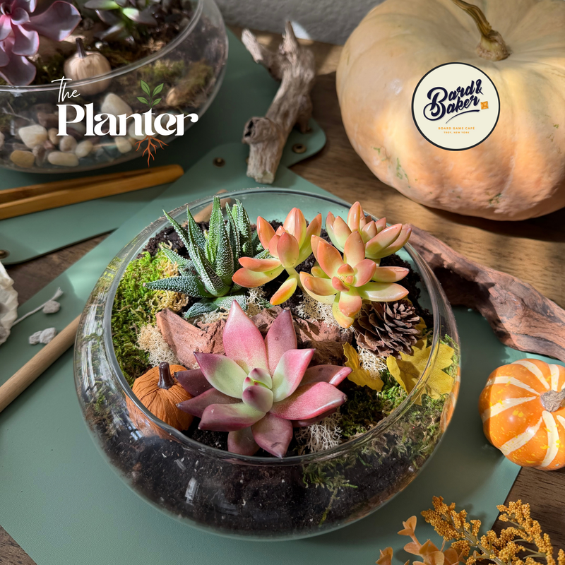 Friendsgiving : Succulent Terrarium Workshop | Bard & Baker, Troy NY