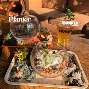 Plant & Sip: Succulent Sand Art Terrariums | The Bunker Brewpub, VA Beach