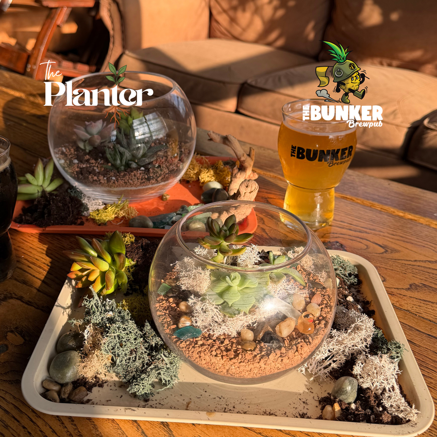 Plant & Sip: Succulent Sand Art Terrariums | The Bunker Brewpub, VA Beach