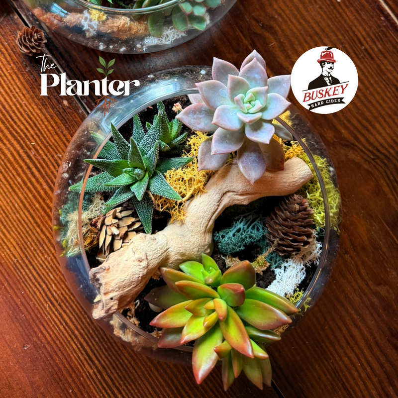 Fall Succulent Terrarium Workshop | Buskey Cider, Scott's Addition, Richmond VA