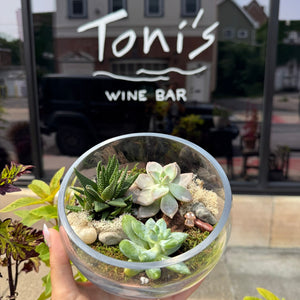 Fall Plant & Sip: Succulent Terrarium Workshop | Toni's Wine Bar, Schenectady NY