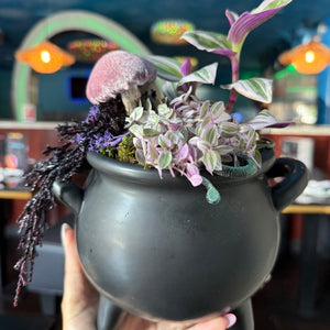 Spooky Cauldron Workshop: Tropical Plants | Las Margaritas, Latham NY