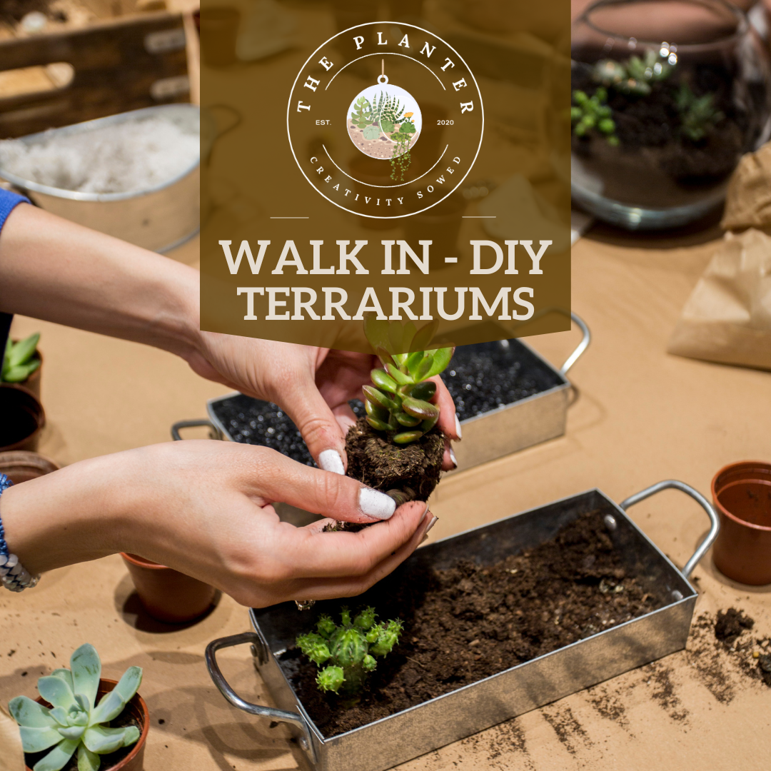 DIY Terrarium The Planter LLC