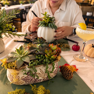 Fall Succulent Centerpiece Workshop: Paint a Pumpkin or Pick a Planter | Tides Coastal Kitchen, Virginia Beach VA