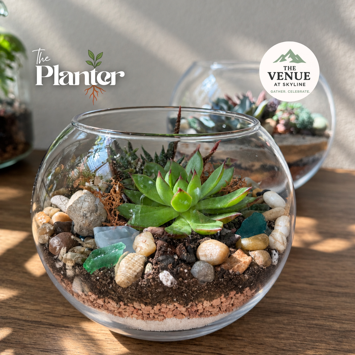 Fall Plant & Sip: Succulent Terrarium Workshop | The Venue at Skyline, Lanesborough MA