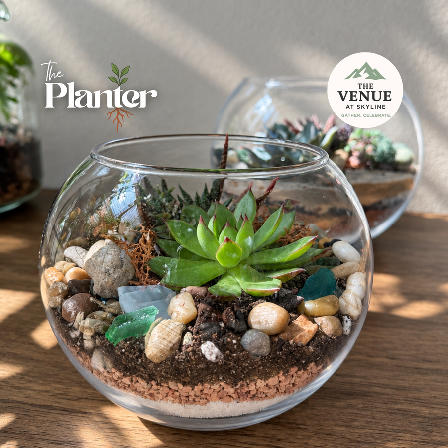 Fall Plant & Sip: Succulent Terrarium Workshop | The Venue at Skyline, Lanesborough MA