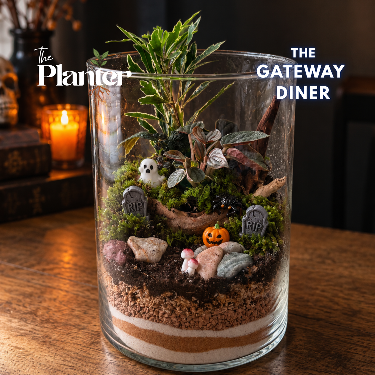 Spooky Tropical Terrarium Workshop | The Gateway Diner, Albany NY