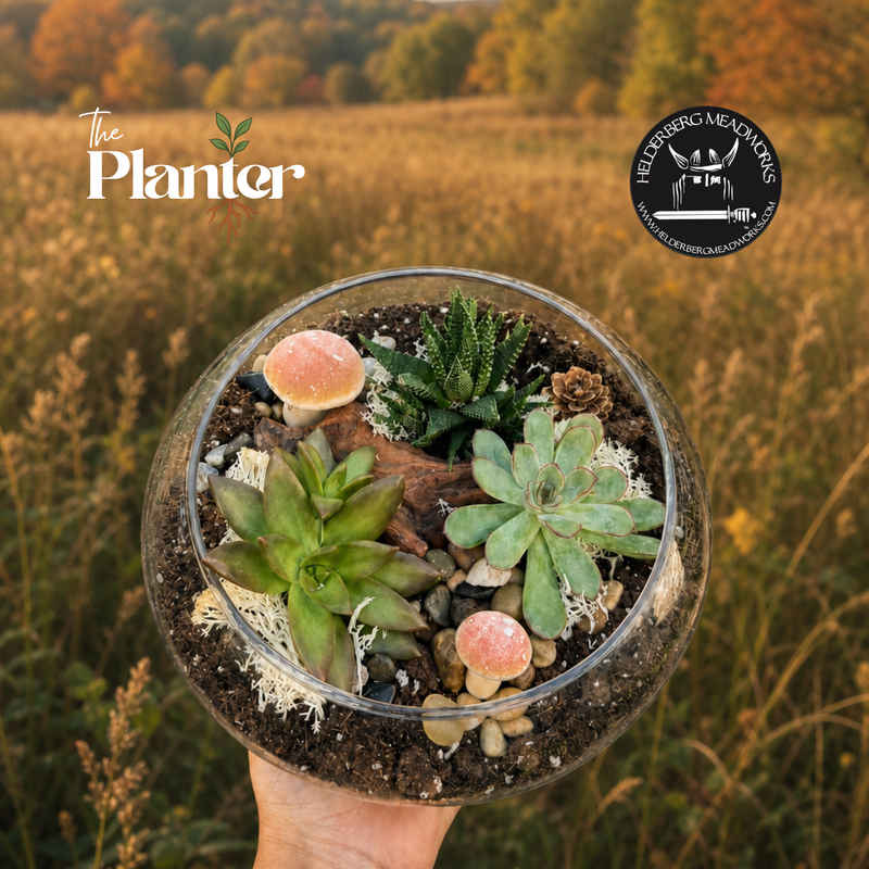 Fall Plant & Sip: Succulent Terrarium Workshop | Helderberg Meadworks, Esperance NY