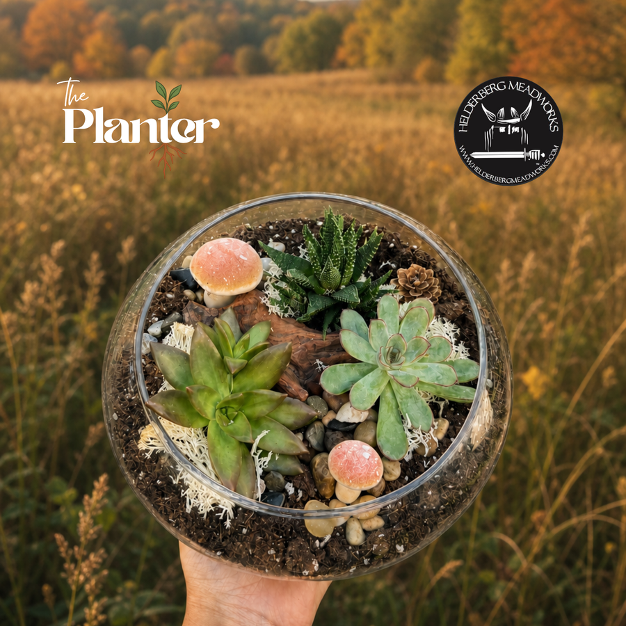 Fall Plant & Sip: Succulent Terrarium Workshop | Helderberg Meadworks, Esperance NY