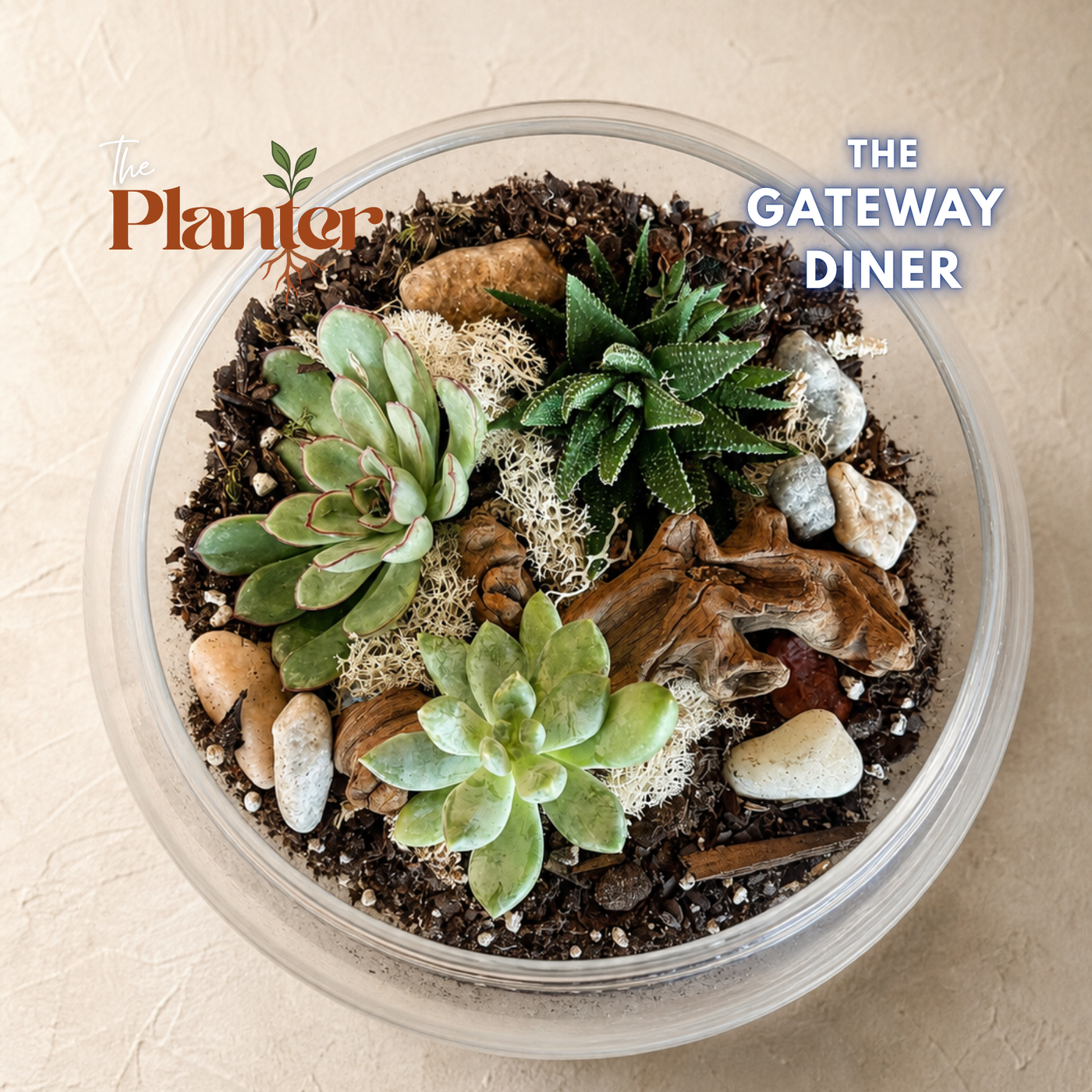 Fall Plant & Sip: Succulent Terrarium Workshop | The Gateway Diner, Albany NY