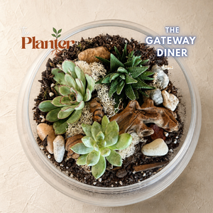 Fall Plant & Sip: Succulent Terrarium Workshop | The Gateway Diner, Albany NY
