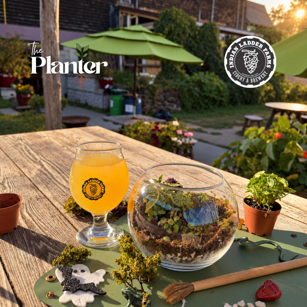 Ghost Garden Terrarium Workshop | Indian Ladder Farms, Altamont NY