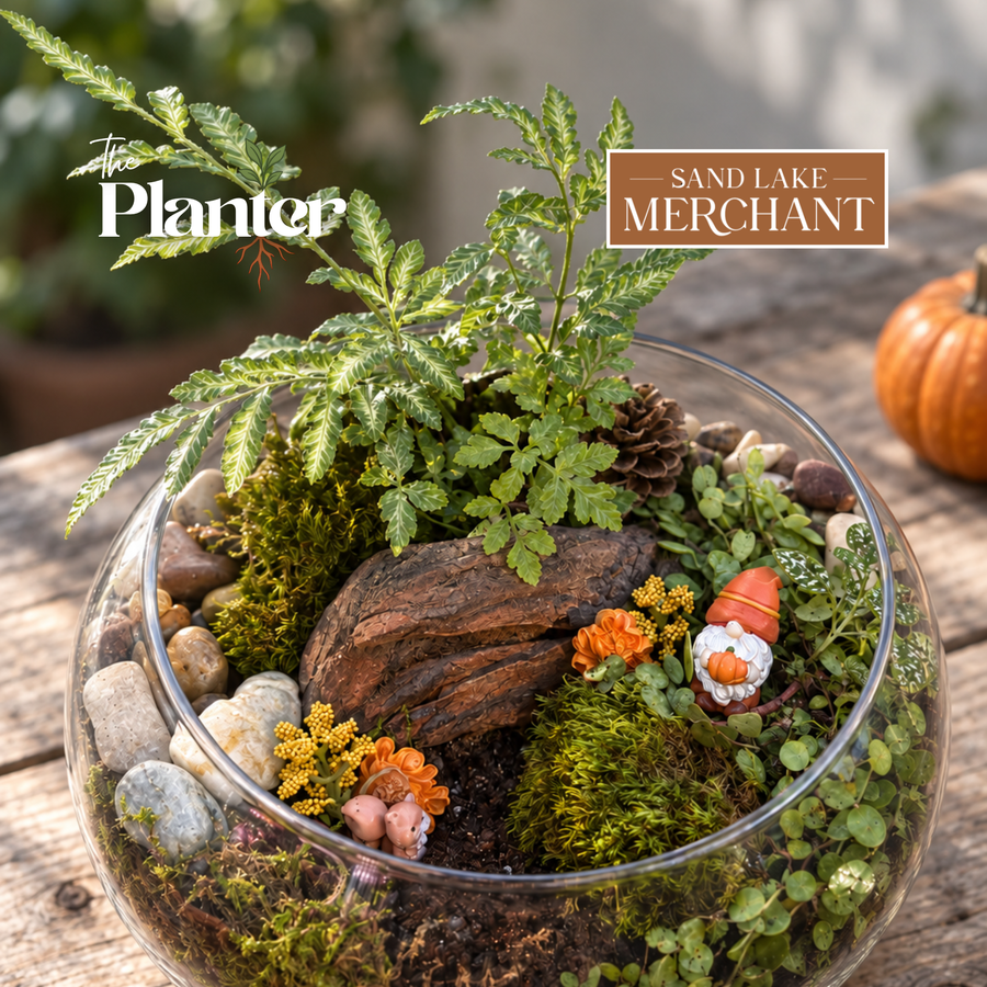 Tropical Gnome Terrarium Workshop | Sand Lake Merchant, Averill Park NY