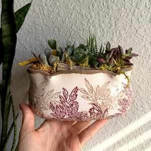 Fall Plant & Sip: Succulent Arrangement Workshop | Blue Pizza at City Beer Hall, Albany NY