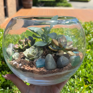 Plant & Sip: Succulent Sand Art Terrariums | The Bunker Brewpub, VA Beach