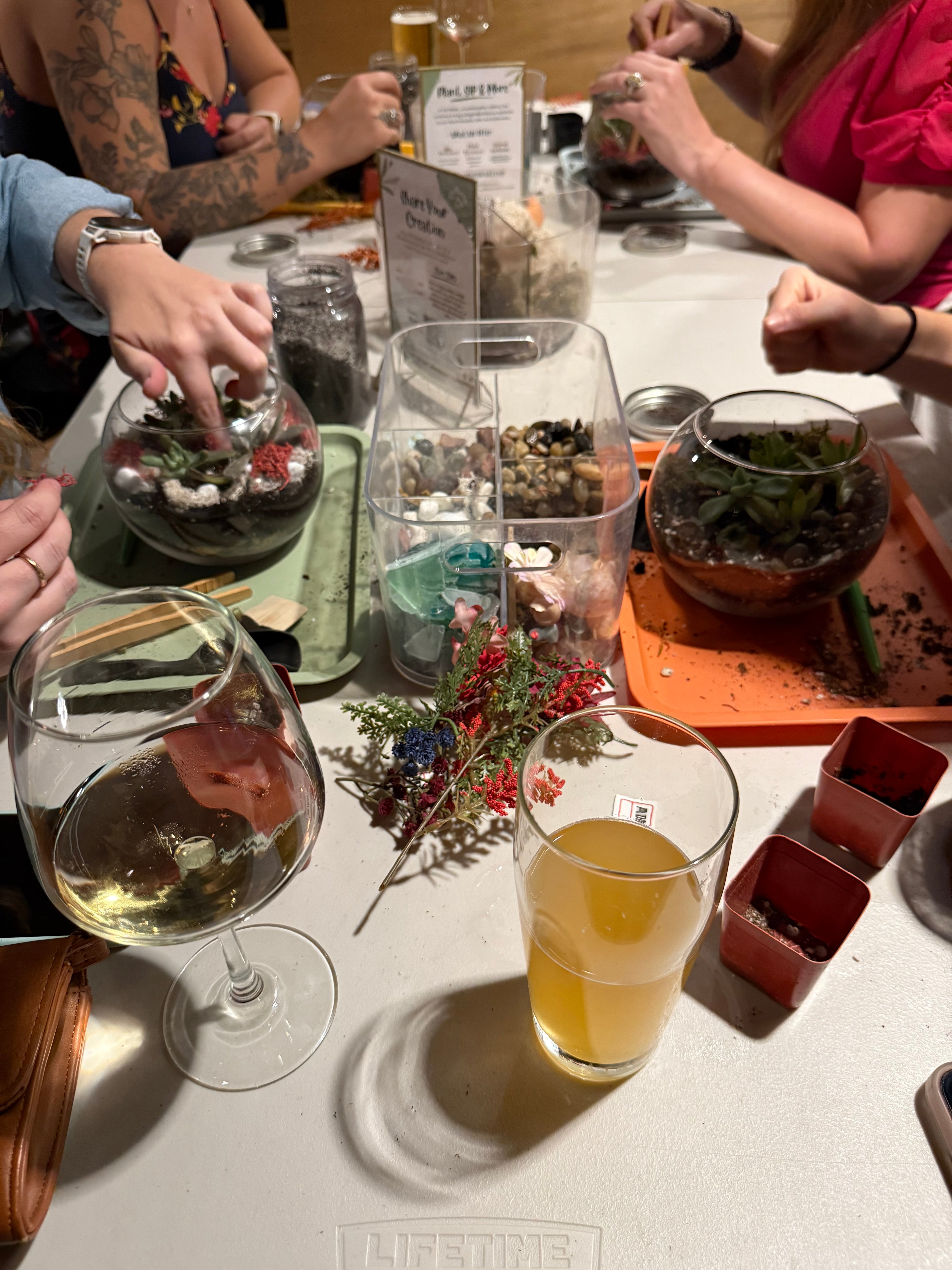 Plant & Sip at The Veil Brewing Co 11.12