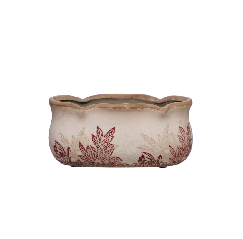 Plant & Sip at The Veil Brewing Co 11.12