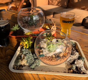 Plant & Sip: Succulent Sand Art Terrariums | The Bunker Brewpub, VA Beach