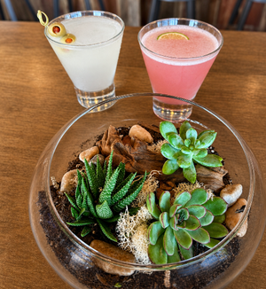 Girls' Night Out: Plants, Bites & Tinis Terrarium Workshop
