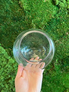 5.5" Slant Bubble Bowl w/ Succulents