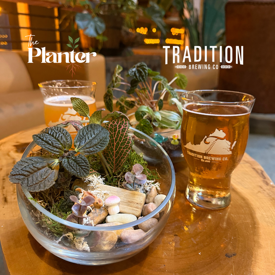 Tropical Terrarium Workshop | Tradition Brewing Co. Aug 27th
