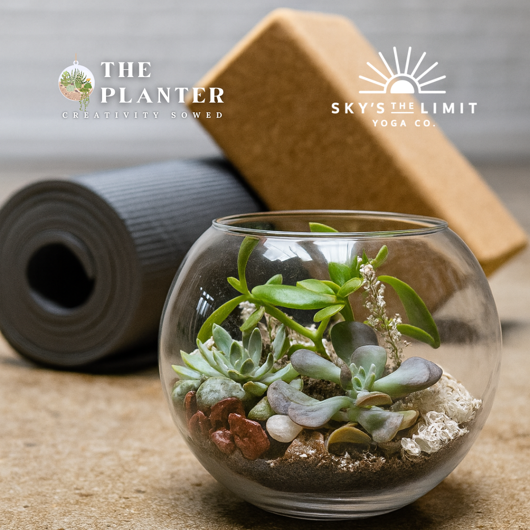 Yoga & Plants 10.16