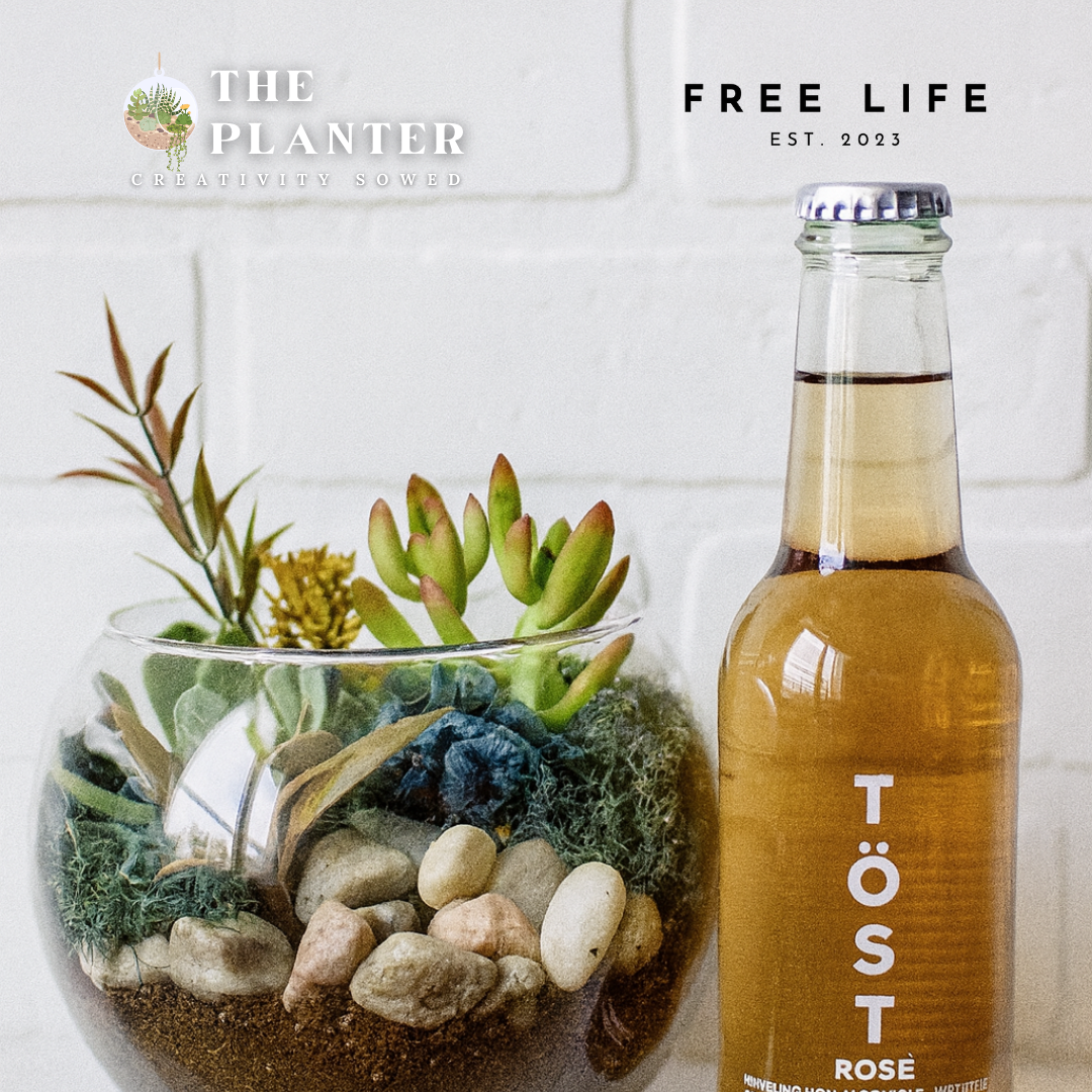 Plant & Sip at Maison Soleil 10.30