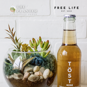 Plant & Sip at Maison Soleil 10.30