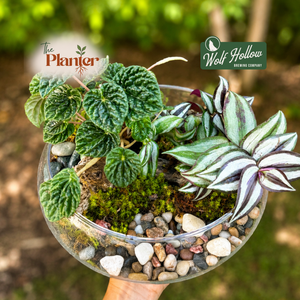 Plant & Sip Workshop — Open Moss Garden Terrarium at Wolf Hollow Brewing | Aug. 5