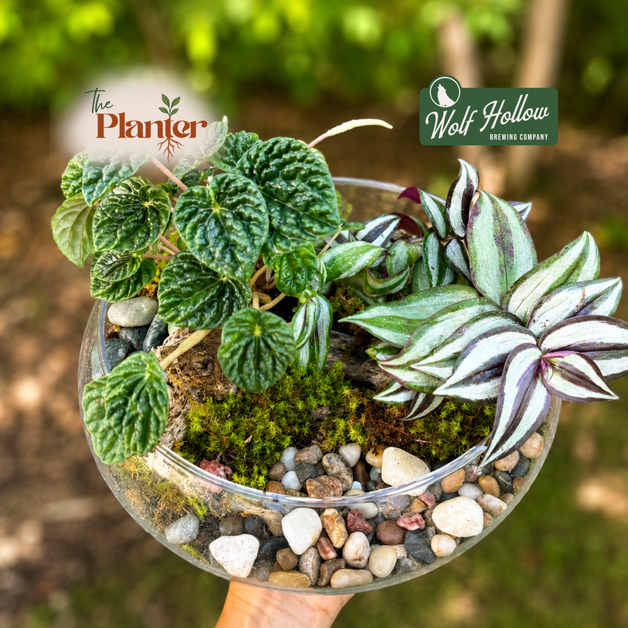 Plant & Sip Workshop — Open Moss Garden Terrarium at Wolf Hollow Brewing | Aug. 5