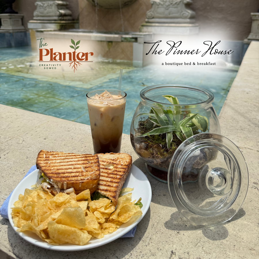 Plant & Sip at The Pinner House | Closed Terrarium Workshop, Suffolk VA