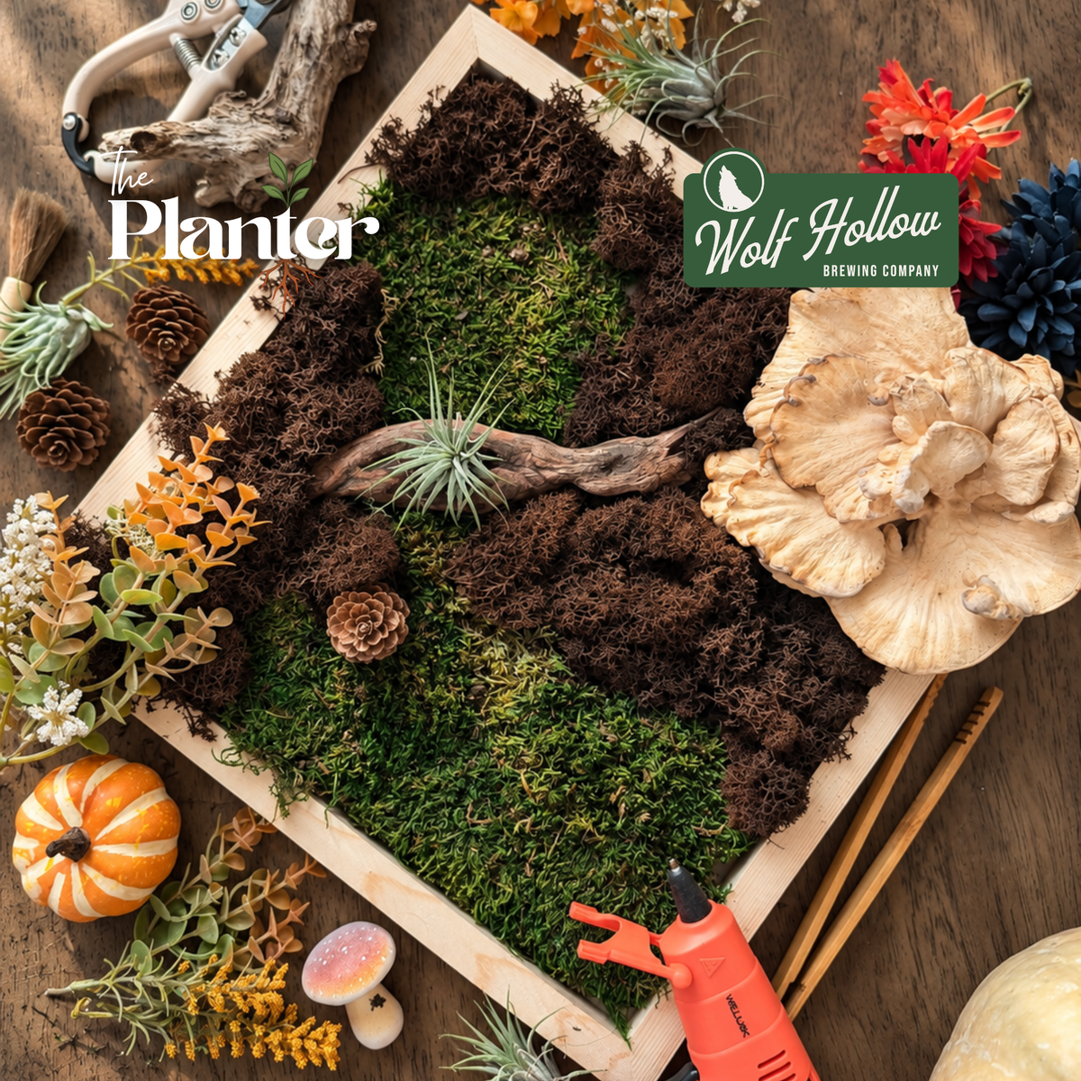 Plant & Sip: Fall Moss Frames | Wolf Hollow Brewing Co., Glenville NY