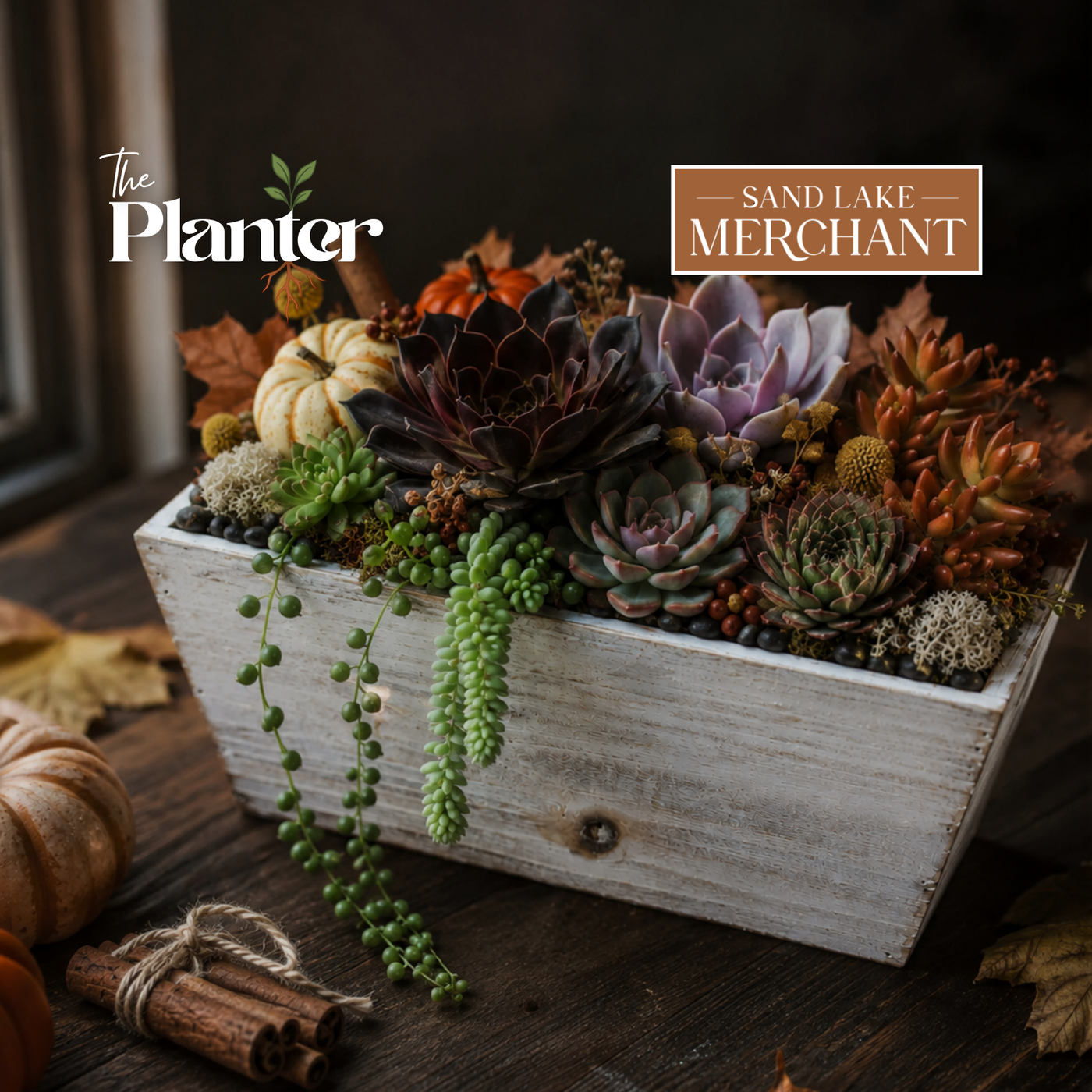 Fall Plant & Sip: Succulent Arrangement Workshop | Sand Lake Merchant, Averill Park NY