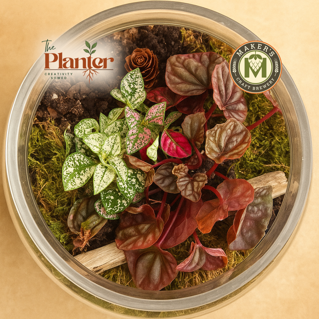 Plant & Sip - Maker's Craft Brewery 11.19